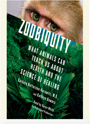 Zoobiquity: What Animals Can Teach Us About Human Health